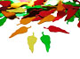 Chili Pepper Confetti by the pound or packet